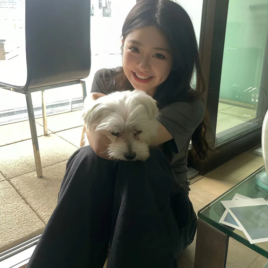 猫狗大战2：珍珠猫复仇